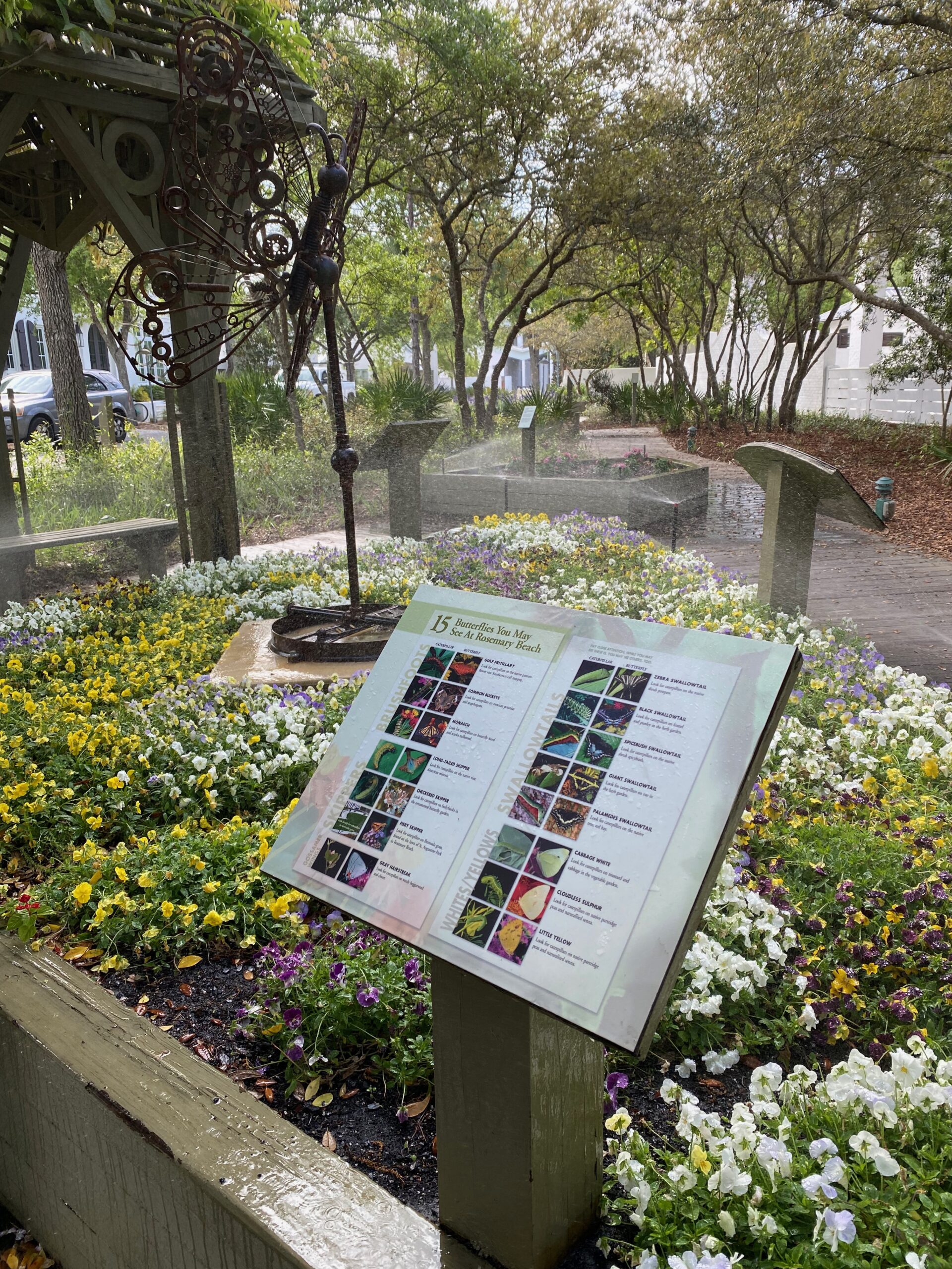 Butterfly Garden - Rosemary Beach